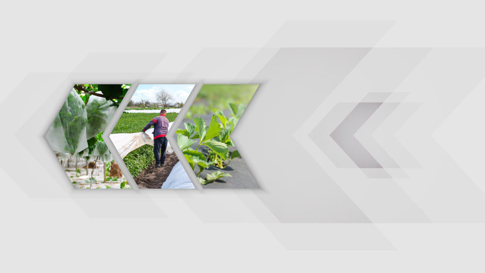 سرما به محصولات کشاورزی شما آسیب میزند سرما به محصولات کشاورزی شما آسیب میزند